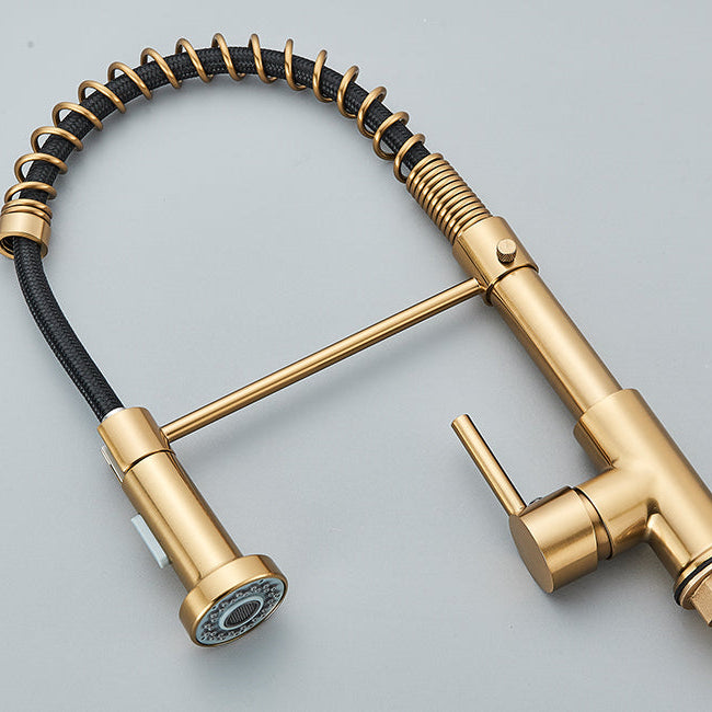 Pull-Down Kitchen Faucet · Brushed Brass — Origin Series · Form 01