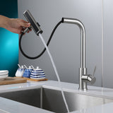 Multi-Mode Waterfall Kitchen Mixer · Brushed Steel  — Origin Series · Form 04